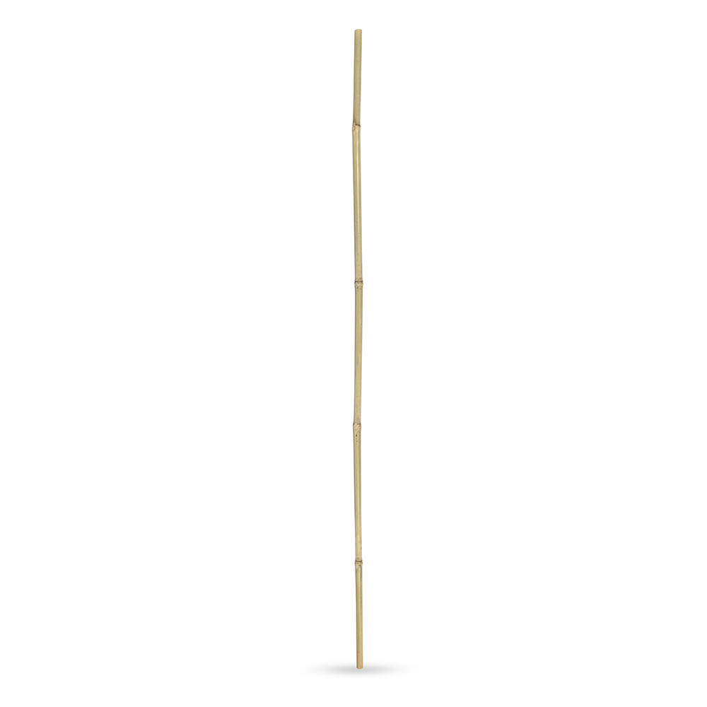 Kuoliukas augalams bambukinis 14-16 mm 120 cm BAM3243 (25)