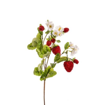 Dekoratyvinis augalas Žemuogės h 75 cm GL03487