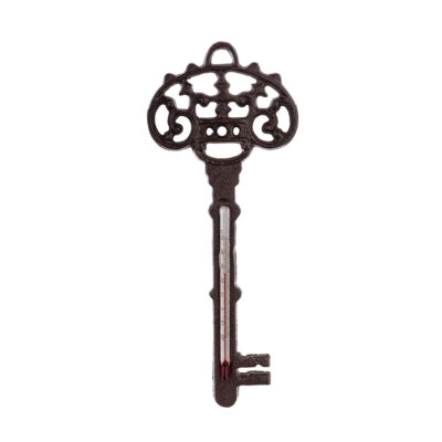 Termometras lauko metalinis Raktas 23x9,5 cm (-20 +50) 165903