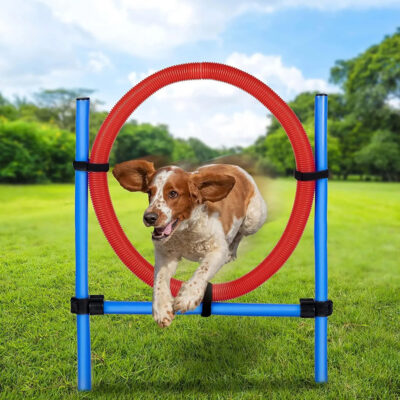 Žaislas šuniui Šokinėjimo žiedas 85x3 cm PET TOYS 871125247432