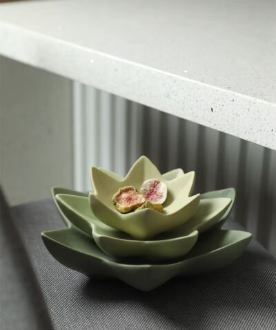 Vaisinė keramikinė 20x7 cm šv. žalia sp. B03007-L
