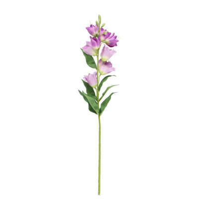 Dekoratyvinė gėlė Katilėlis violetinė spalva 14x14x71 cm 4Living 643664