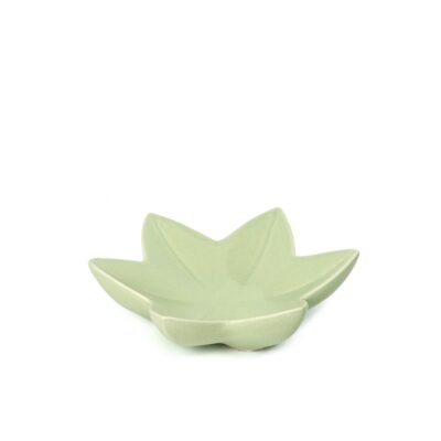 Vaisinė keramikinė 20x7 cm šv. žalia sp. B03007-L