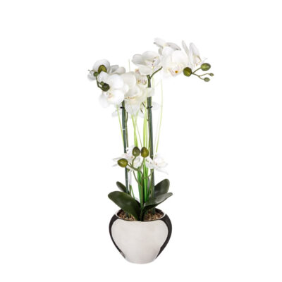 Dekoratyvinis augalas Orchidėja su sidabr. vazonu 38x38x53 cm Atmosphera 136510D