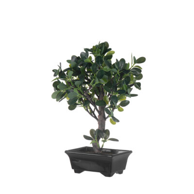 Dekoratyvinis augalas su vazonu Bonsas-Fikusas 23x20x33,5 cm 4Living 650060