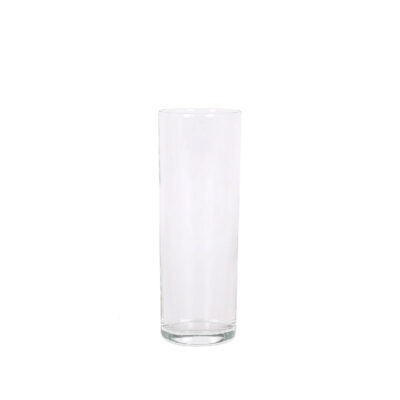Stiklinė 320 ml skaidri 6x16,5 cm Royal leerdam 762307500014 (24)