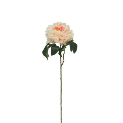 Dekoratyvinė gėlė Bijūnas 74 cm 8430540867443