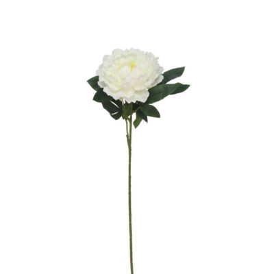 Dekoratyvinė gėlė Bijūnas 74 cm baltas 8430540867429