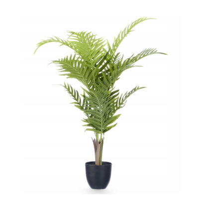 Dekoratyvinis augalas 55x55x95 cm vazone Ibergarden 11418