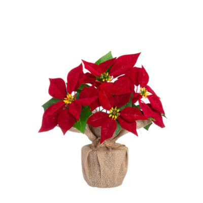 Dekoratyvinė gėlė Puansetija 21x21x26 cm 4Living 649228 KLD