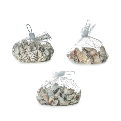 Dekoratyvinės kriauklės 150-160 g (mix 6) 8430540382892
